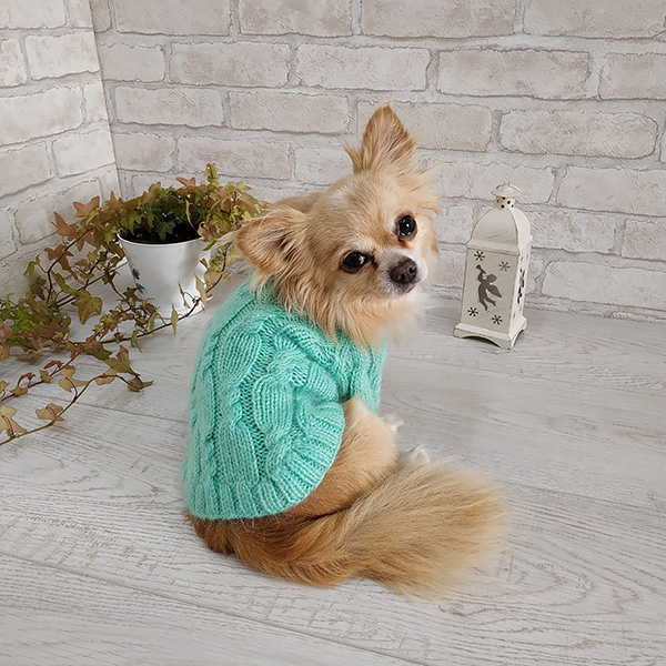 Вязаные свитера для собак (74 фото)