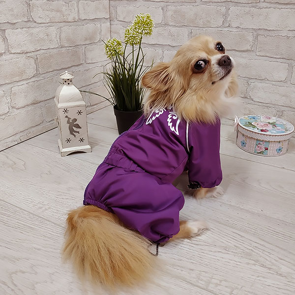 Одежда для маленьких собак - купить в интернет-магазине