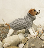 Вязание | Одежда для животных