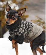 Как связать собаке свитер спицами (для начинающих)