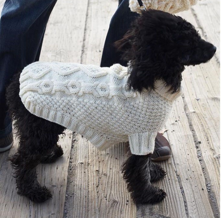 Как связать свитер для собаки: руководство
